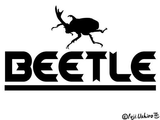 BEETLE1