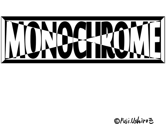 MONOCHROME2